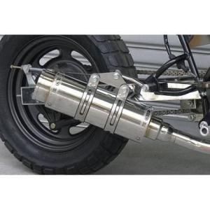 エイプ50（APE） ロッドショートマフラー ウイルズウィン（WirusWin