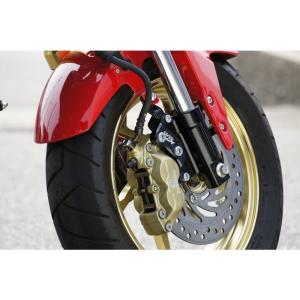ACTIVE フロント用キャリパーサポート 1475001B GPZ900R Amazon | アクティブ(ACTIVE) フロントキャリパーサポート