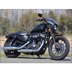 ティーラ アーリーヘッドカウル クリアスクリーン 単色ブラックデニム CHIC DESIGN（シック...