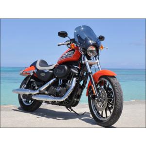 ガイラ スポーツシールド スモークスクリーン CHIC DESIGN（シックデザイン） XL883L...