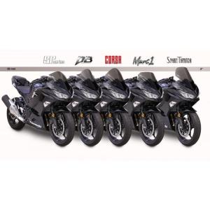 Ninja400（ニンジャ）18年 スクリーン コルサ スモーク ゼログラビティ