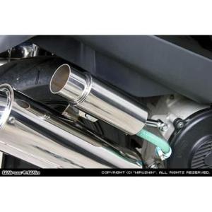 SS出品　WirusWin オイルキャッチタンク汎用　アドレスV125 WirusWin（ウイルズウィン） アドレスV125S 燃料・オイル関連パーツ