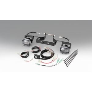 スペシャルパーツ武川 クロスカブ50 110 LEDフォグランプキット