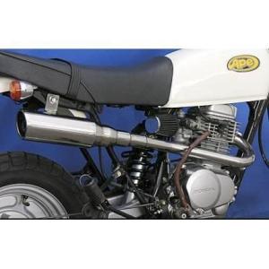 BURIAL（ベリアル） GP・M1・ストリートスペックサイレンサー XR100