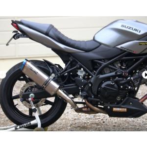 AKRAPOVIC（アクラポビッチ） AKRAPOVIC JMCA認証 SLIP ON LINE SV650