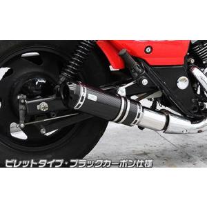 スリップオンマフラー ビレットタイプ ブラックカーボン仕様 ウイルズウィン（WirusWin） エリミネーター250V（前期型）｜hamashoparts