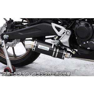 ダイナミックマフラー ユーロタイプ フルエキゾースト チタン仕様