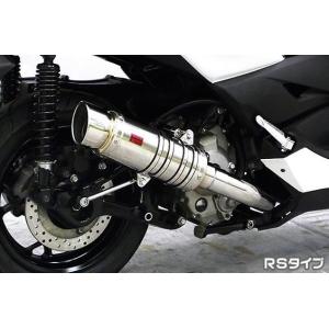 WirusWin（ウイルズウィン） ファーストマフラー XMAX 250 XMAX300