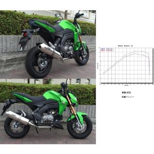WR WR'S Kawasaki Z125PRO用 チタンショートオーバルソリッド