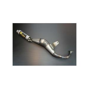 ジョグ（JOG）6ps（2JA） パラライザー3チャンバー chameleon