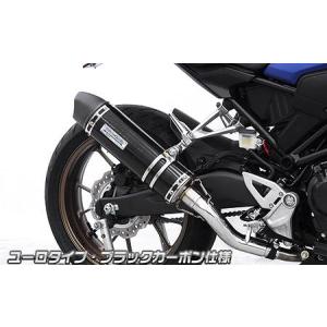 CB250R（2BK-MC52） R-EVO スリップオンマフラー ステンレス