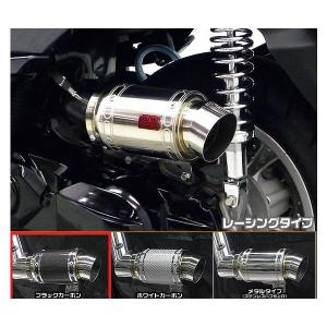 サイレンサー型エアクリーナーキットポッパータイプ ウイルズウィン
