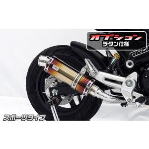 スリップオンマフラー スポーツタイプ ブラックカーボン仕様