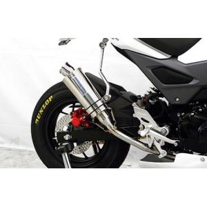WirusWin（ウイルズウィン） グロム/MSX125（2型） マフラー本体