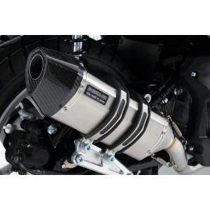 250TR マフラーガスケット（B） ガレージT＆F : バイク メンテ館