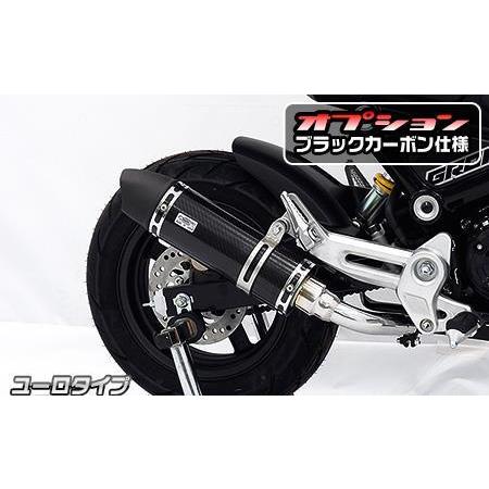 スリップオンマフラー ユーロタイプ ブラックカーボン仕様 ウイルズウィン（WirusWin） GRO...