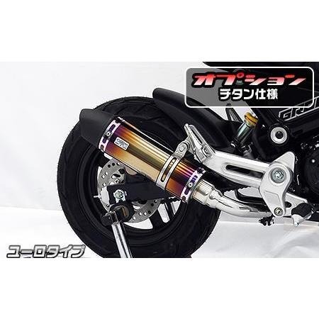 スリップオンマフラー ユーロタイプ チタン仕様 ウイルズウィン（WirusWin） GROM（グロム...