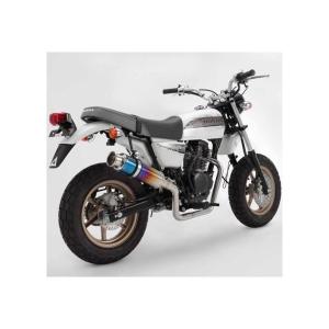 BEAMS マフラー 送料無料 ビームス APE50/エイプ50 SS300チタン