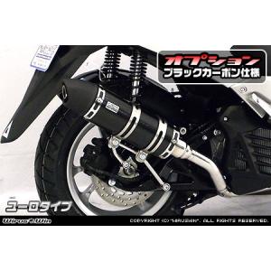 Harley Davidson（ハーレー・ダビッドソン） FLHXSE1920CVO マフラー