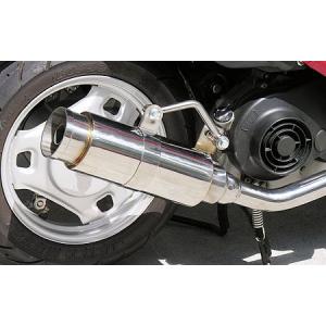 BEAMS（ビームス） マフラー 送料無料 マフラー アドレスV50 Fi CA44A
