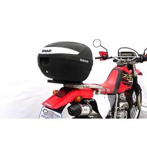 GSX250E/GSX400E ザリ ゴム付きタンデムバー（黒） ACP（エーシーピー