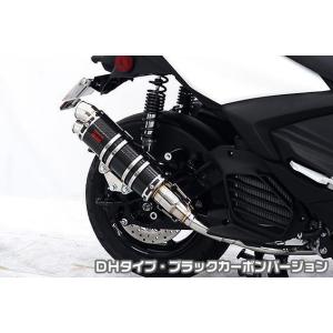 ロイヤルマフラー スポーツタイプ チタン仕様 ウイルズウィン