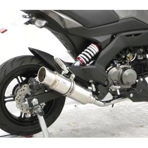BEAMS（ビームス） BEAMS R-EVO ヒートチタン Z125 PRO 2BJ-BR125H