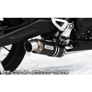 WirusWin CB250R(8BK-MC52) ダイナミックマフラー ユーロタイプ