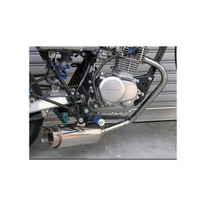 WirusWin エイプ100 ドラッグバイソン ダウンマフラー/ウイルズウィン