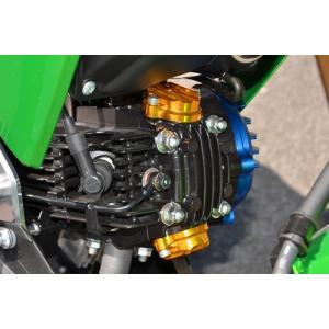 Z125 PRO（プロ） マシンプロテクターセット BEET（ビート） : バイク