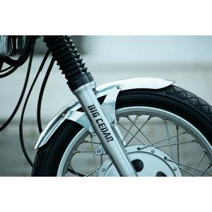 ステンレス・ショートフロントフェンダー ペイトンプレイス