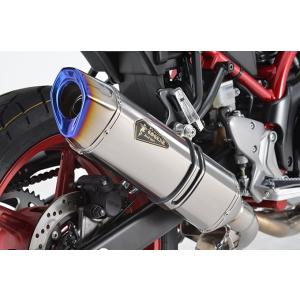 AKRAPOVIC（アクラポビッチ） 直送品 アールズギア リアルスペック