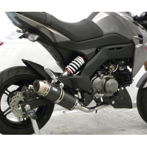 WR WR'S Kawasaki Z125PRO用 チタンショートオーバルソリッド