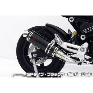 スポーツマフラー（ノーマルルックスタイル）（政府認証） SP武川