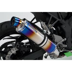 ツルノテクニカルサービス NINJA250 NINJA250R デュアル
