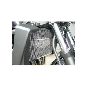 Odax（オダックス） ELメーターパネル ACtype ZRX1200DAEG 09-16