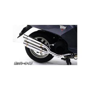 311さん専用ズーマーFI ビームス マフラー 楽天市場】BEAMS マフラー B109-53-008 ZOOMER ズーマー キャブ