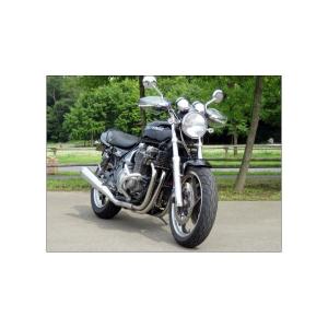 ZEPHYR1100 ゼファー1100 レイダウンキット レイダウンKIT (ブラック) | 車種から,ZEPHYR 750/1100,フレーム