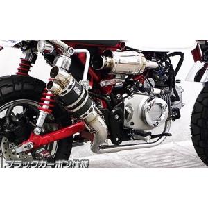 PGO Tigra125（ティグラ） SHタイプマフラー RSタイプ ASAKURA（浅倉