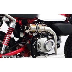 スペシャルパーツ武川 モンキー125(JB03)用 RSスポーツマフラー(政府