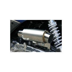 サイレンサー型エアクリーナーキット ウイルズウィン（WirusWin