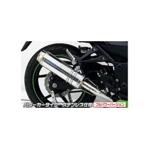 BMS-R ステンレス マフラー 青銀 ニンジャ250 ex250l BMS-R ステンレス マフラー 青銀 ニンジャ250 ex250l - メルカリ