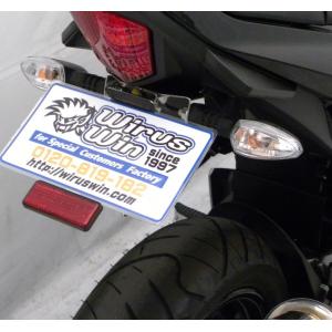 ハリケーン GSX250R（DN11A） フェンダーレスkit /HA6649 : porストア