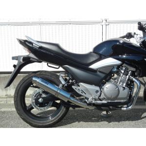 REALIZE（リアライズ） Realize GSR250 バイクマフラー JBK-GJ55D 2012