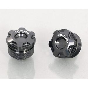 ゼファー1100（ZEPHYR） レイダウンキット ブラック PMC（ピーエムシー