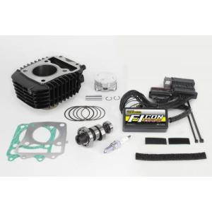 スペシャルパーツ武川 FIコン TYPE-e （インジェクション