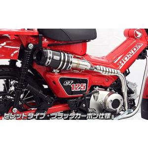 テラモト CT125ハンターカブ T-REVmini SPキット（チタン） TERAMOTO
