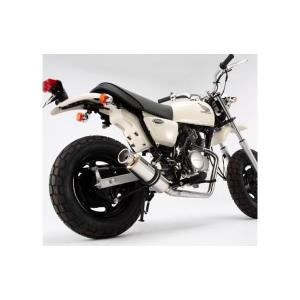 エイプ100 ウィルズウィン　シャープマフラー シャープマフラー ウイルズウィン（WirusWin）APE（エイプ）100