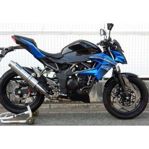 SPEC-A スリップオンマフラー カーボンサイレンサー YAMAMOTO RACING