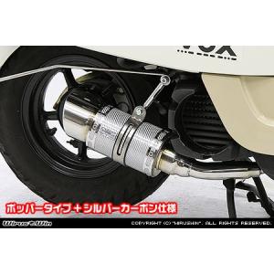 スカイウェイブ250（SKYWAVE）CJ41・42 GMS120タイプマフラー ASAKURA